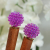 Pair of Purple Hair Sticks, handmade by Purple Moon Designs